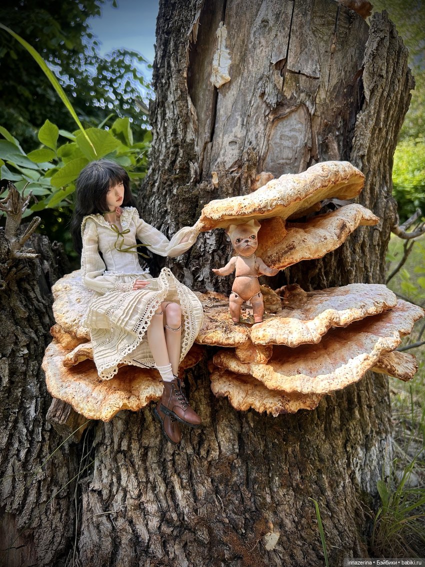 История одного пня 🍄 — Разные куклы BJD (БЖД): редкие бренды (фото 9)