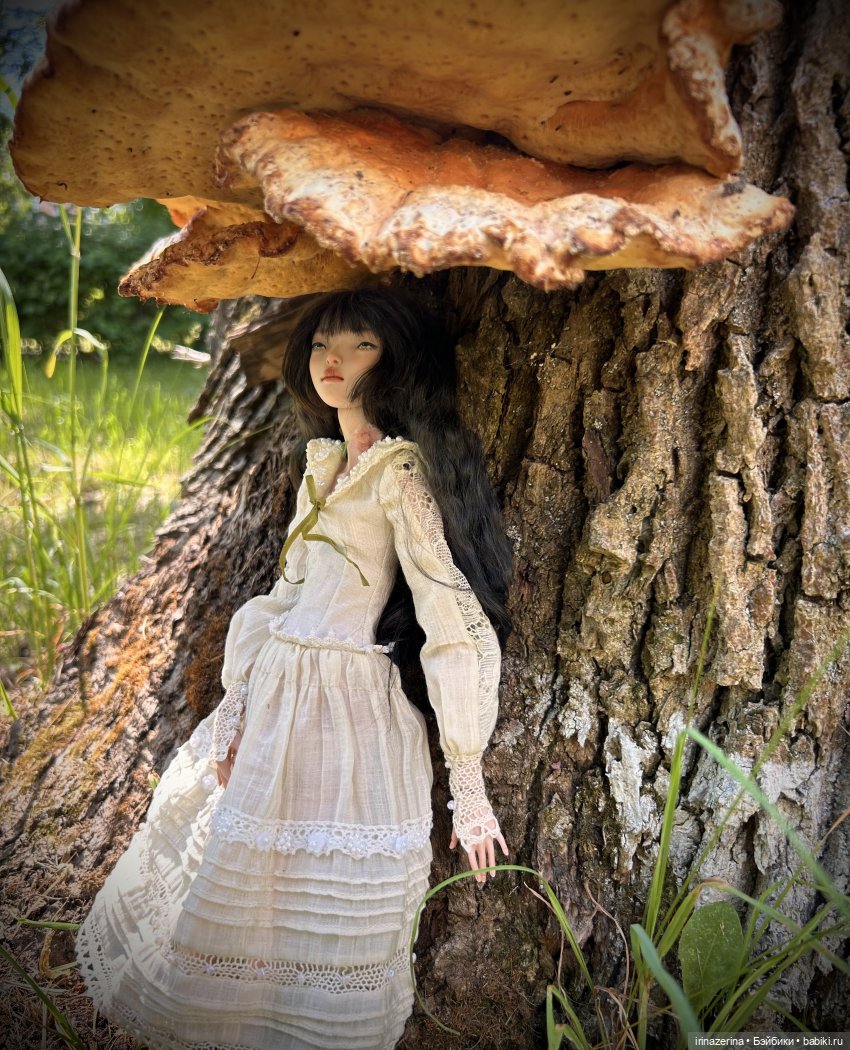 История одного пня 🍄 — Разные куклы BJD (БЖД): редкие бренды