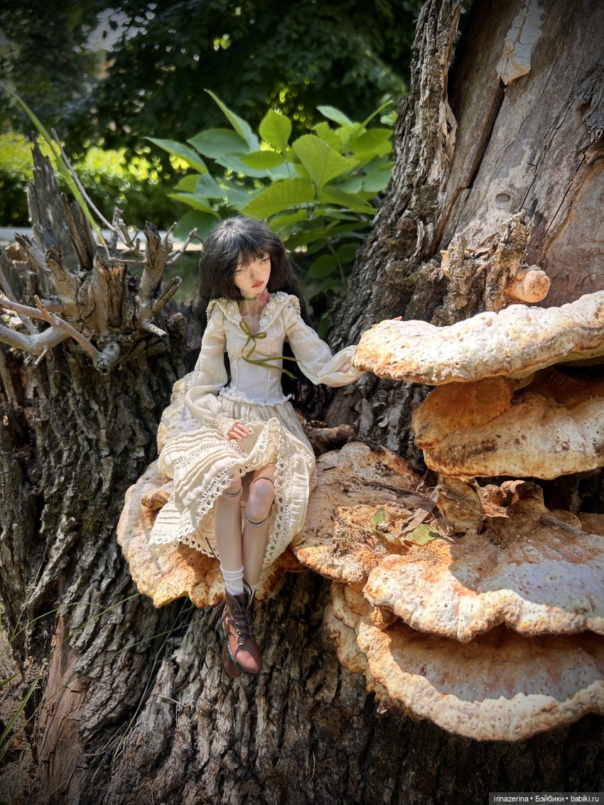 История одного пня 🍄 — Разные куклы BJD (БЖД): редкие бренды (фото 7)