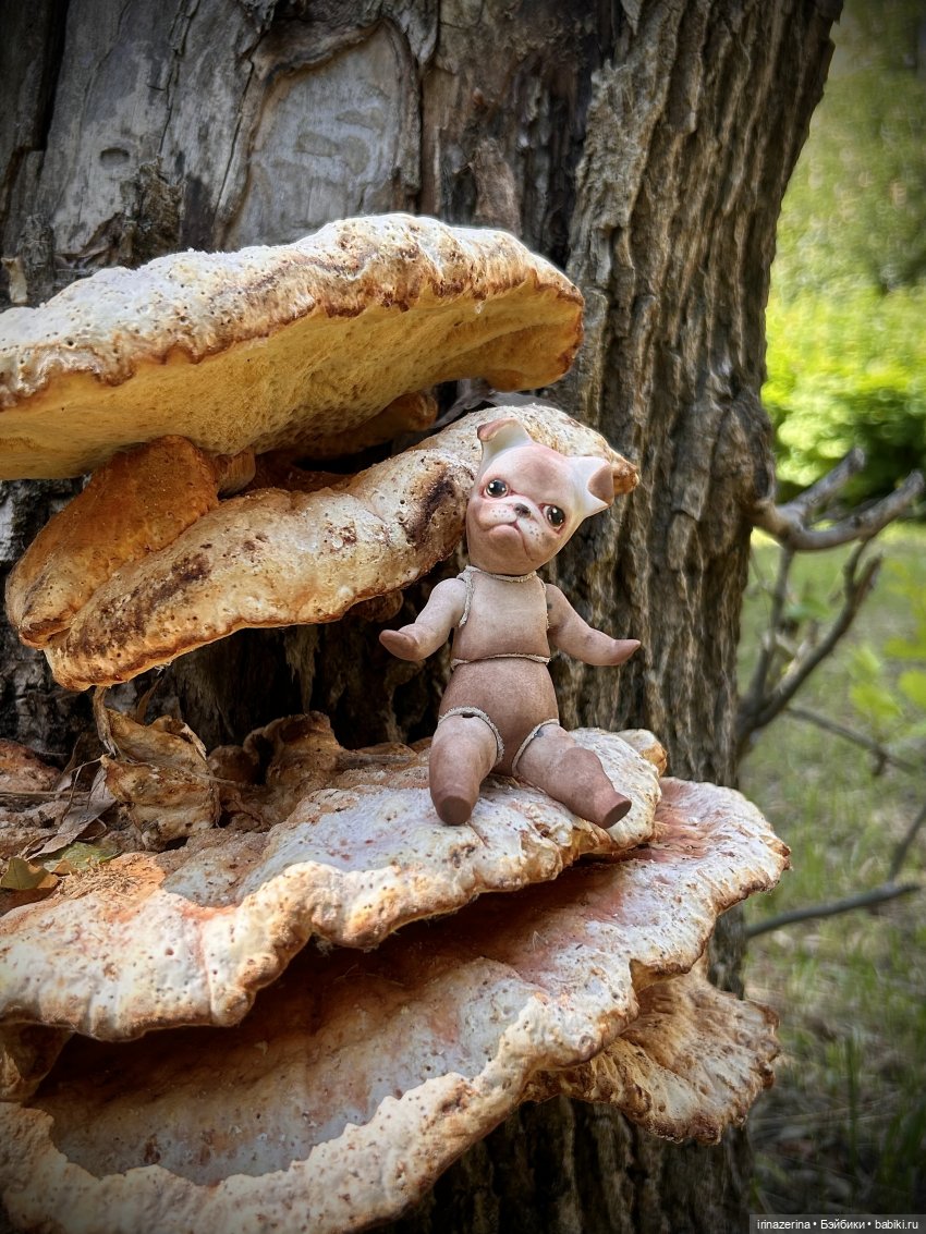 История одного пня 🍄 — Разные куклы BJD (БЖД): редкие бренды