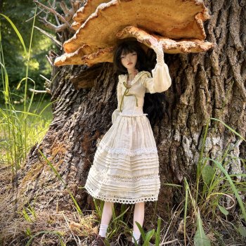 История одного пня 🍄