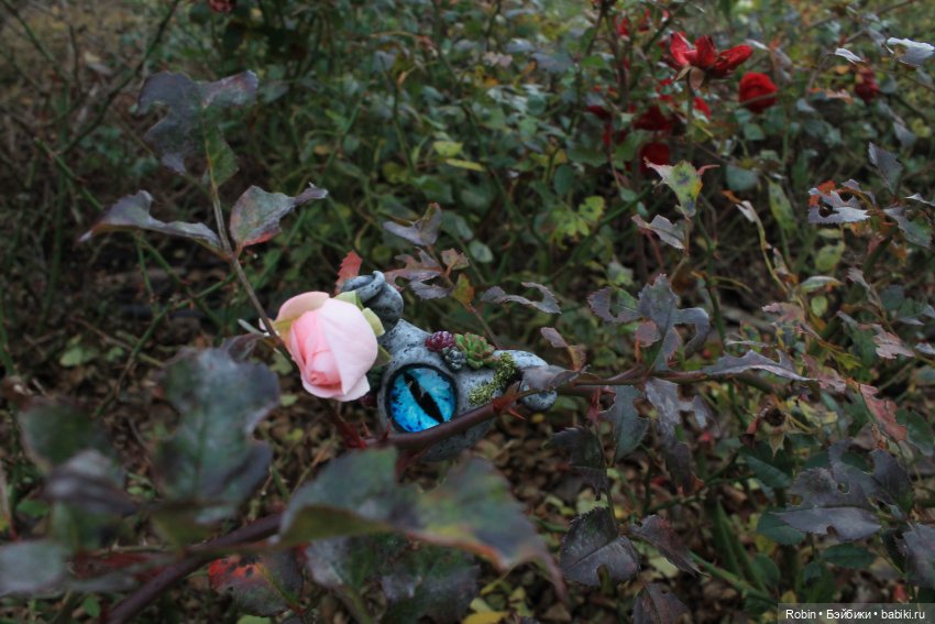 Угощение или розыгрыш — Фотоистории с куклами BJD (БЖД): сериалы (фото 2)