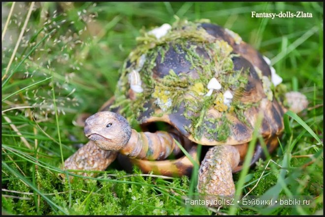 Как я создавала авторскую шарнирную черепаху Дороти (фото 6)