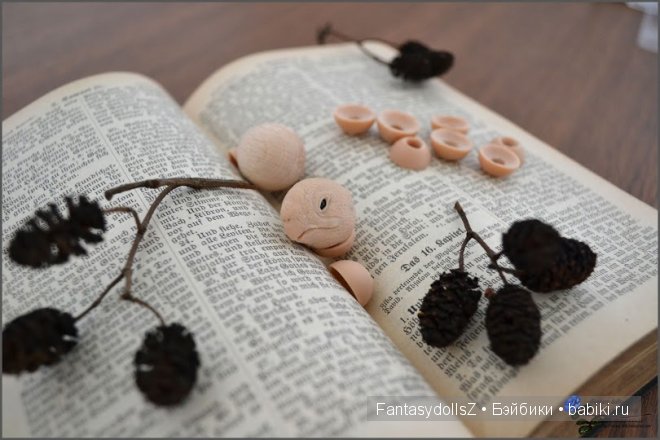 История создания шарнирной черепахи