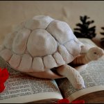 Как я создавала авторскую шарнирную черепаху Дороти