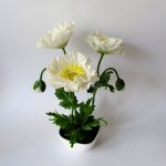 Реалистичные цветы из полимерной глины