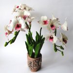 Реалистичные цветы из полимерной глины 2