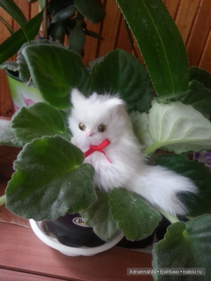 Неожиданная находка — Куклы (фото 4)