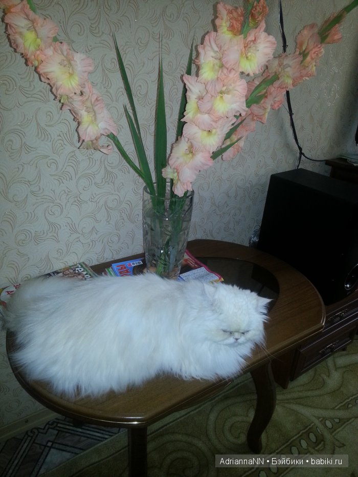 Как я Наталку развлекала — Фэшн