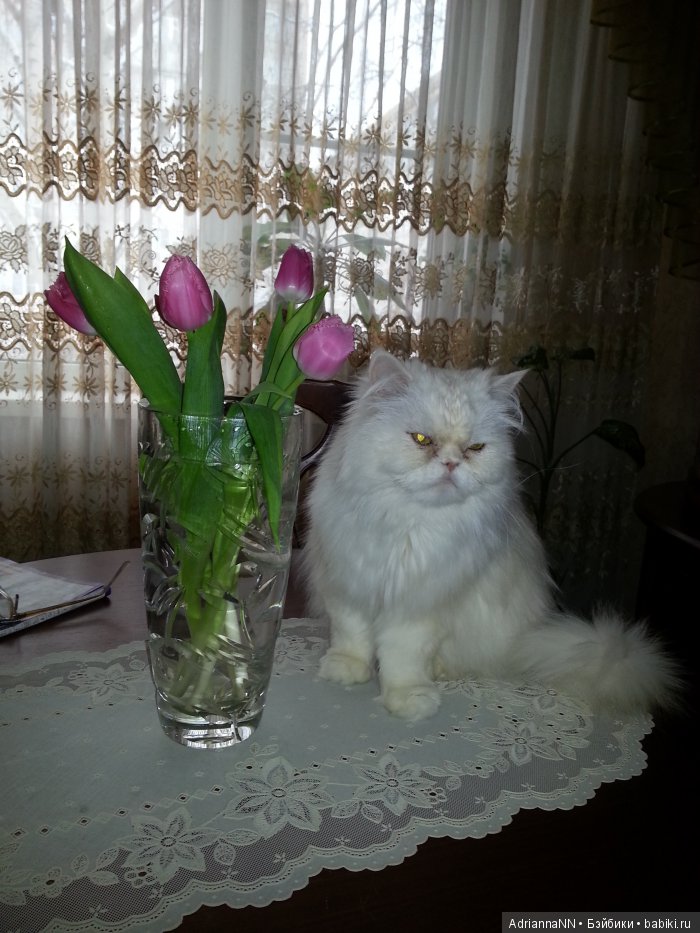 Праздничная фотосессия "С 8-м Марта!"