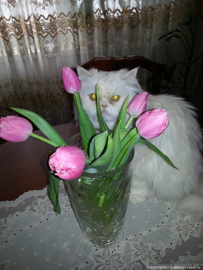 Праздничная фотосессия "С 8-м Марта!"