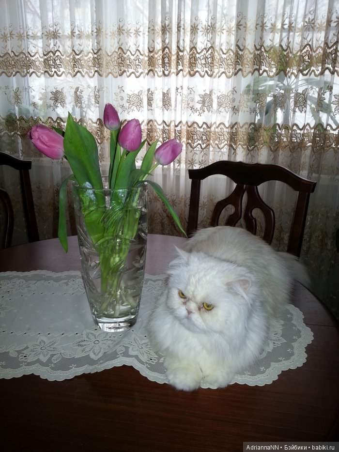 Праздничная фотосессия "С 8-м Марта!"