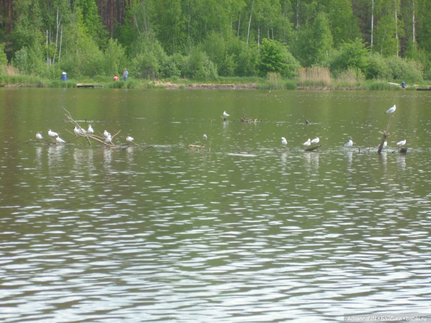 Райское место, или первая вылазка Адрианны (Мокси тинз) на природу