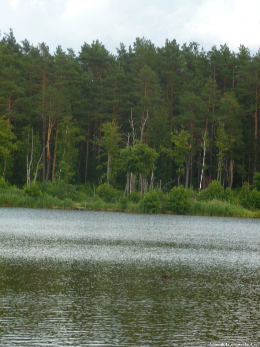 Райское место, или первая вылазка Адрианны (Мокси тинз) на природу (фото 2)