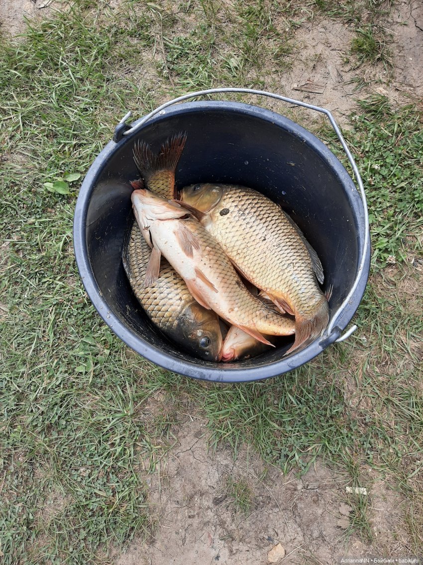 Райское место, или первая вылазка Адрианны (Мокси тинз) на природу