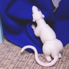 Заколдованный принц