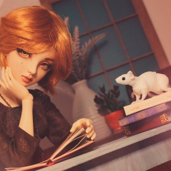 С книгами