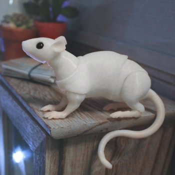 Жизнь Крысячья 2