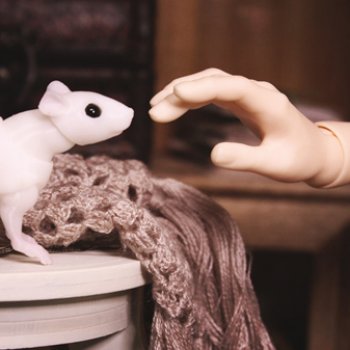 Новый знакомый Крысьтофера