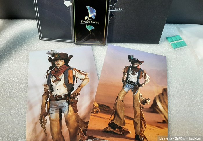 Распаковка Dream Valley - The Noon Cowboy - Robin Human Ver