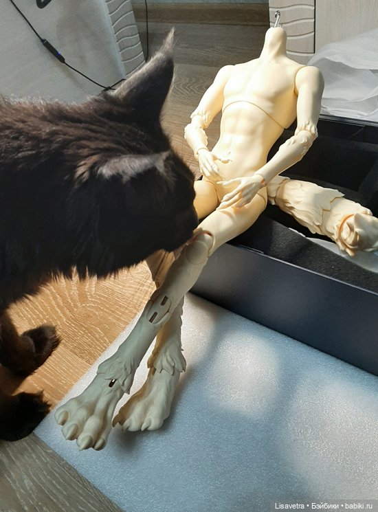 Распаковка Dream Valley - The Noon Cowboy - Robin Human Ver (фото 8)