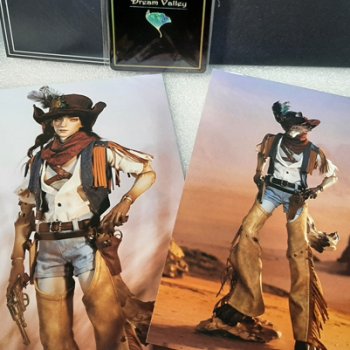 Распаковка Dream Valley - The Noon Cowboy - Robin Human Ver