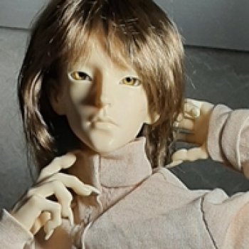 Волкология