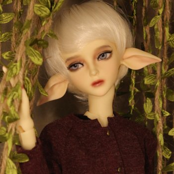 Позвольте представить