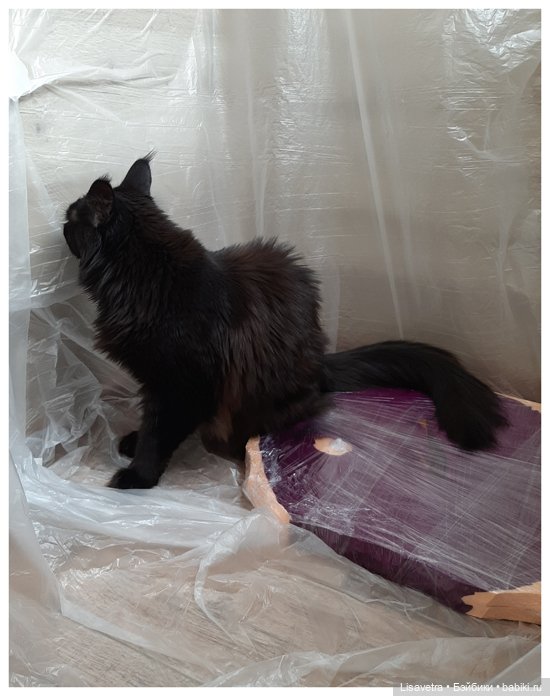 Процесс создания "Чёрной воды" (фото 6)