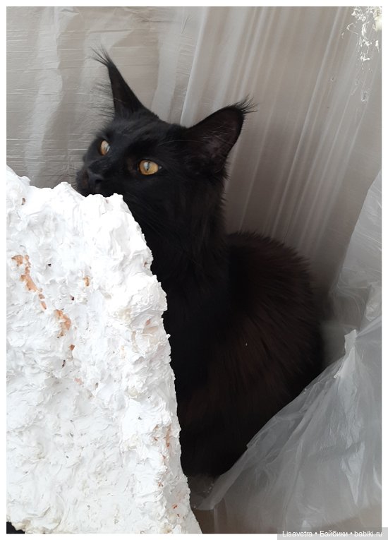 Процесс создания "Чёрной воды" (фото 10)