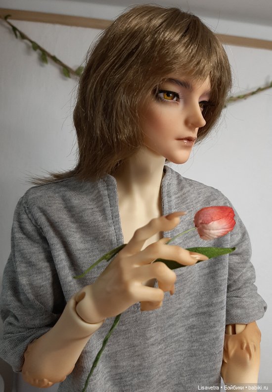 Волкология 2 — Куклы Dream Valley (Дрим Валлей): BJD (БЖД) (фото 3)