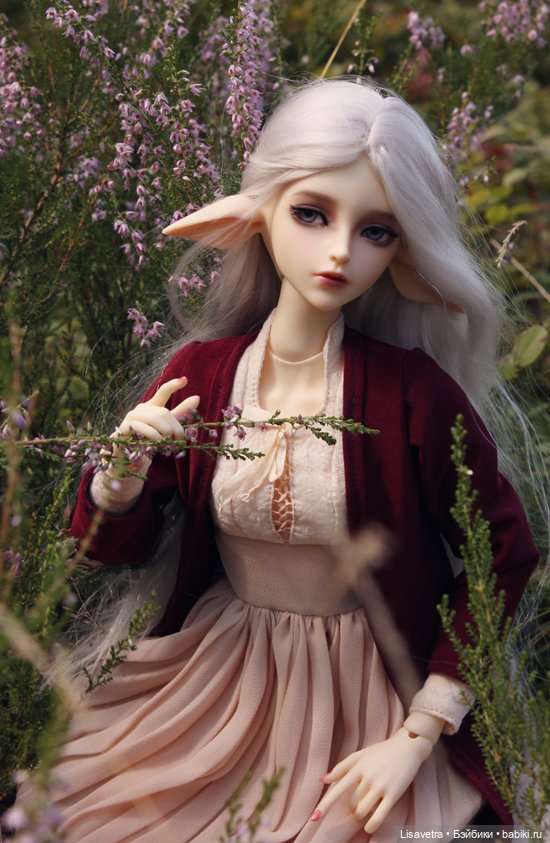 Незавершённая игра — Коллекции кукол BJD (БЖД): фото витрин (фото 3)