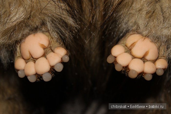 Рыжий Кот Бориска, игрушка ручной работы (фото 6)