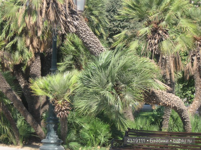 Особенности Бакинского отдыха, или находки старины глубокой (фото 10)