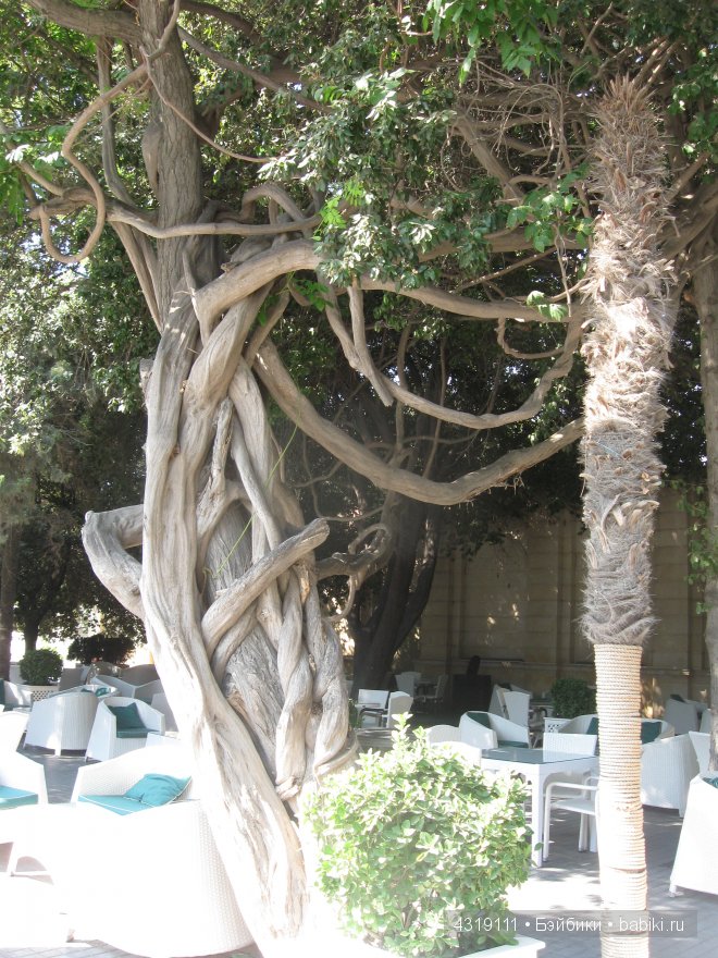 Особенности Бакинского отдыха, или находки старины глубокой