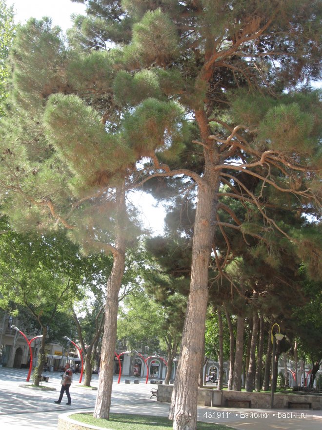 Особенности Бакинского отдыха, или находки старины глубокой