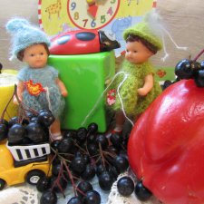 Что шумишь, качаясь, тонкая рябина, головой склоняясь до самого тына?