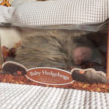 Кукла Anna Geddes Hedgehogs 40 см