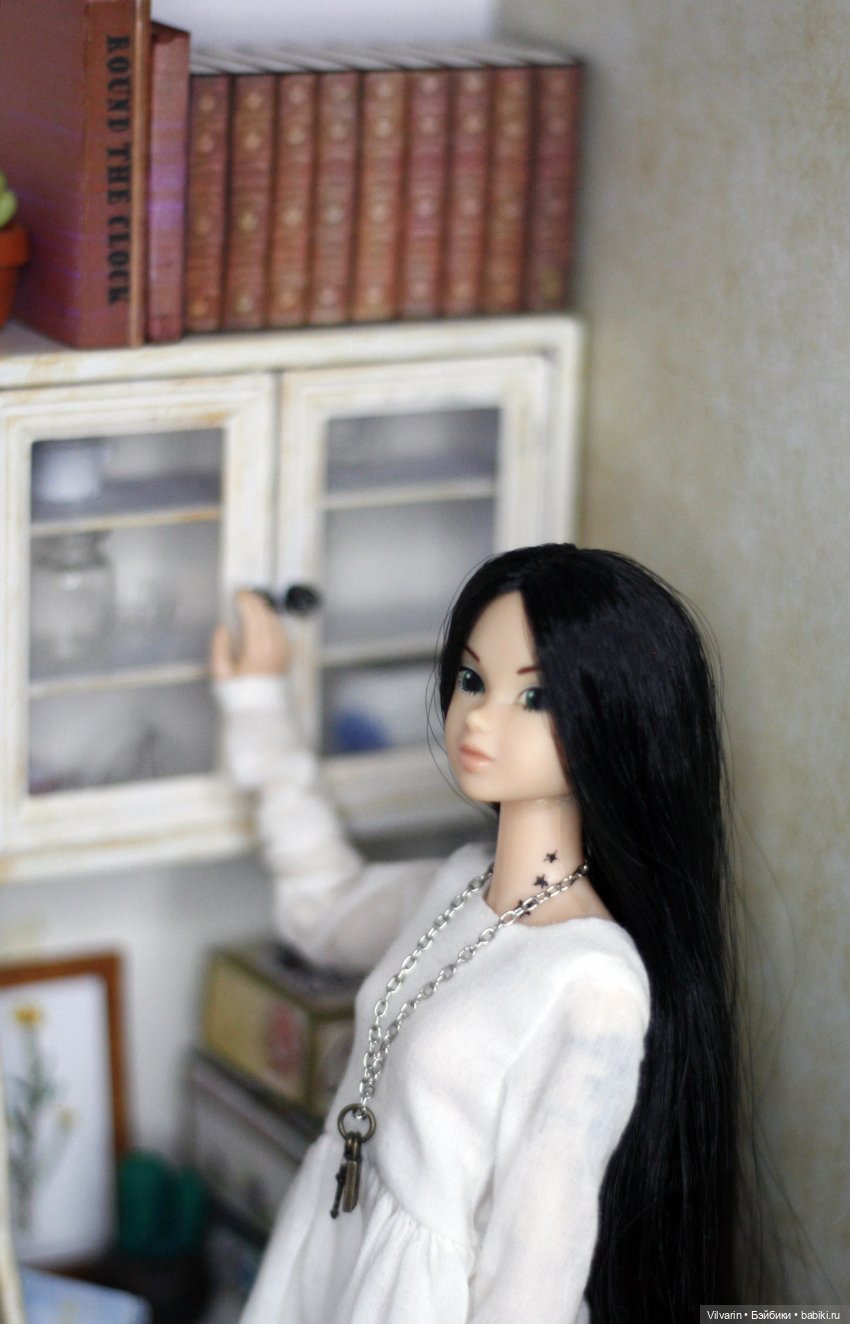 Осень, книги, Момоко — Куклы Momoko и Ruruko (Petworks (фото 4)