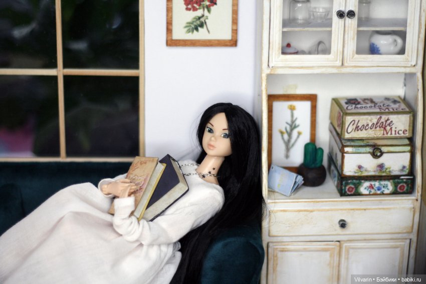 Осень, книги, Момоко — Куклы Momoko и Ruruko (Petworks (фото 3)