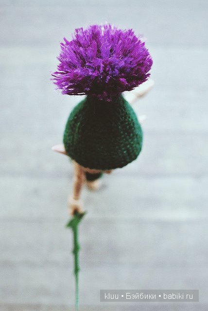 Маленький чертополоховый эльф (фото 7)