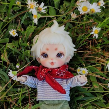 Тофу-тян, кусок котячей милоты