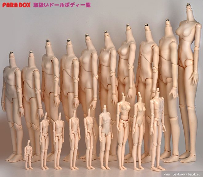 Настоящие Obitsu — Куклы и тела Obitsu (Обитсу): 1/6 (фото 4)