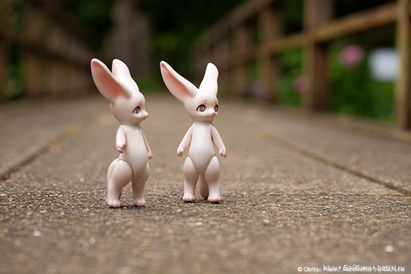 Настоящие Obitsu — Куклы и тела Obitsu (Обитсу): 1/6 (фото 8)