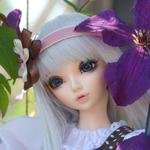 Моя красавица Хлоя.