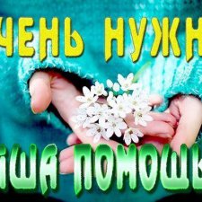 Прошу совета