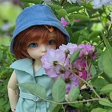 Антешка в каждом доме!