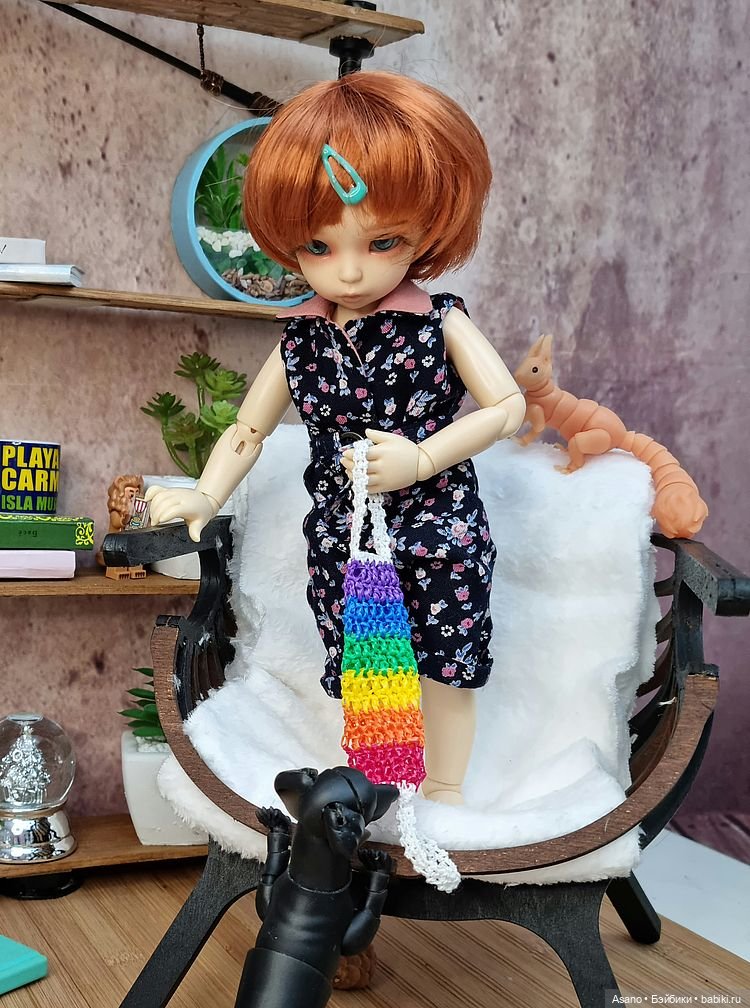 Сонечка, такса Анатолий и белка. Погоня за мочалкой (фото 8)