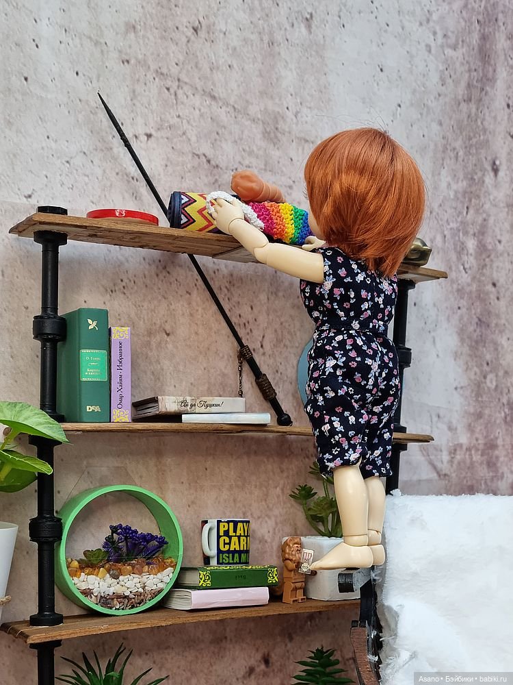 Сонечка, такса Анатолий и белка. Погоня за мочалкой (фото 7)