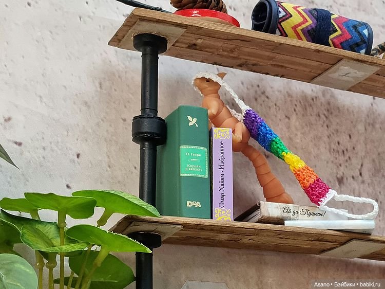 Сонечка, такса Анатолий и белка. Погоня за мочалкой (фото 2)